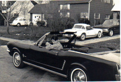 Paul Flynn's 1967 Mustang