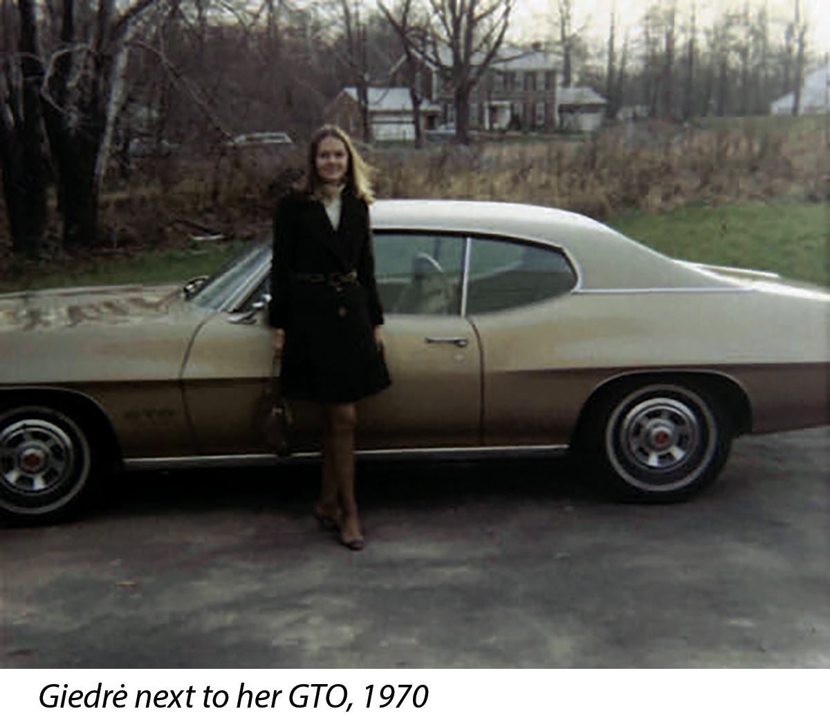 My Love of Cars 13
