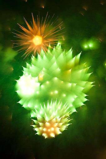 26. Fireworks, When the                                         Camera Refocuses During the                                         Explosion...