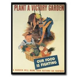 Victory Garden World War 2 Postcard