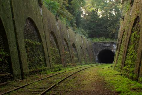 http://twistedsifter.com/2013/04/petite-ceinture-abandoned-railway-in-paris/
