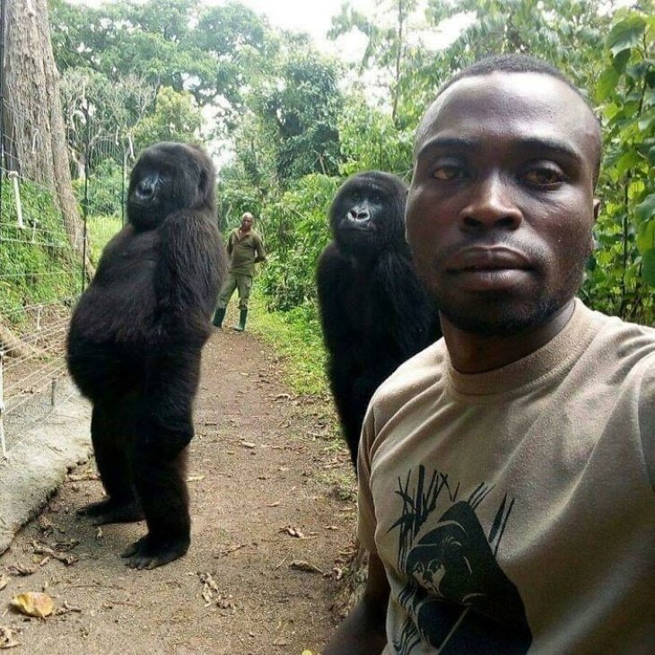 Poignant Photos anti poachers guarding the gorillas